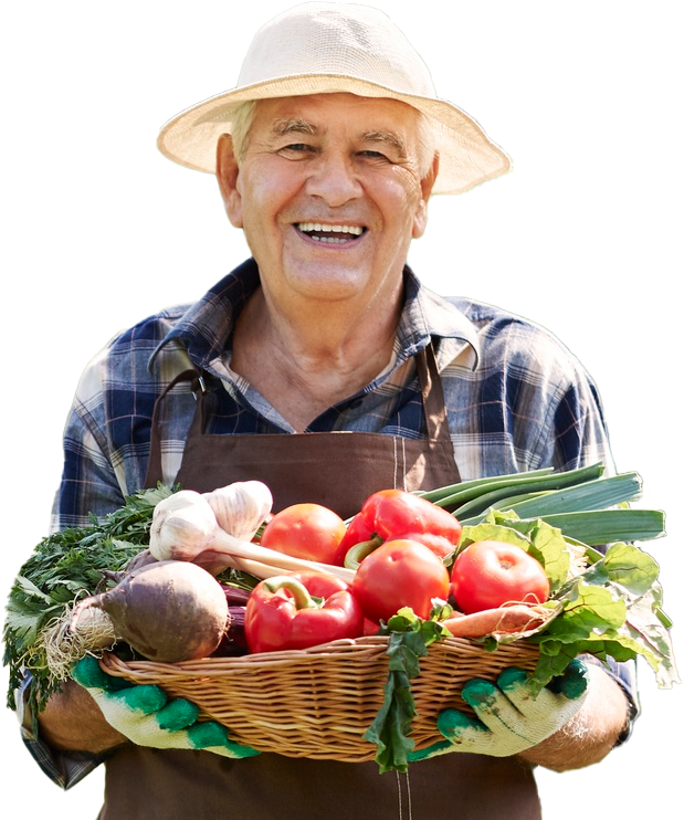 высокие грядки из дпк купить в москве